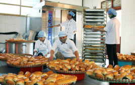 Tư vấn chọn lò nướng bánh mì giá rẻ phù hợp với nhu cầu kinh doanh